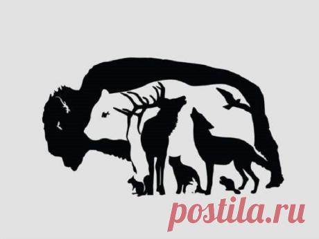 Тест: Сколько животных вы сможете найти на картинке? Проверьте свою наблюдательность | Скиталец | Яндекс Дзен