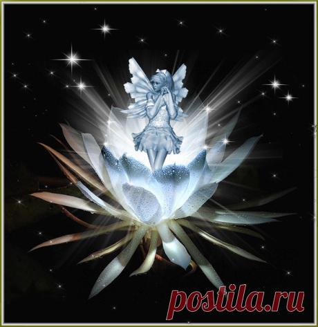 Мой Мир@Mail.Ru