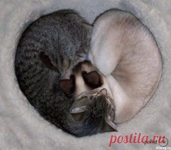 Мой Мир@Mail.Ru