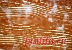 Шпаклёвочные смеси для деревянных полов: достоинства, недостатки, рецепты самодельных составов - Как сделать