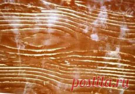 Шпаклёвочные смеси для деревянных полов: достоинства, недостатки, рецепты самодельных составов - Как сделать