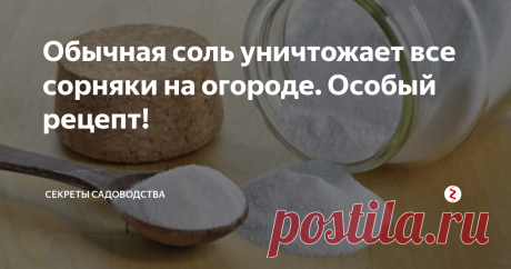 Обычная соль уничтожает все сорняки на огороде. Особый рецепт! Если Вам надоели бесконечные прополки на своём участке — метод для Вас! Благодаря нему Вы уничтожите лишнюю растительность около дома и на огороде. Простая поваренная соль, которая недорого стоит и есть на каждой кухне, — мощный гербицид. К тому же, в отличие от химических средств она экологически безопасна, что немаловажно для тех, кто б
