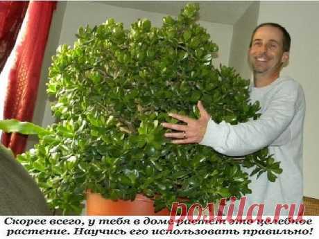 (70) Одноклассники