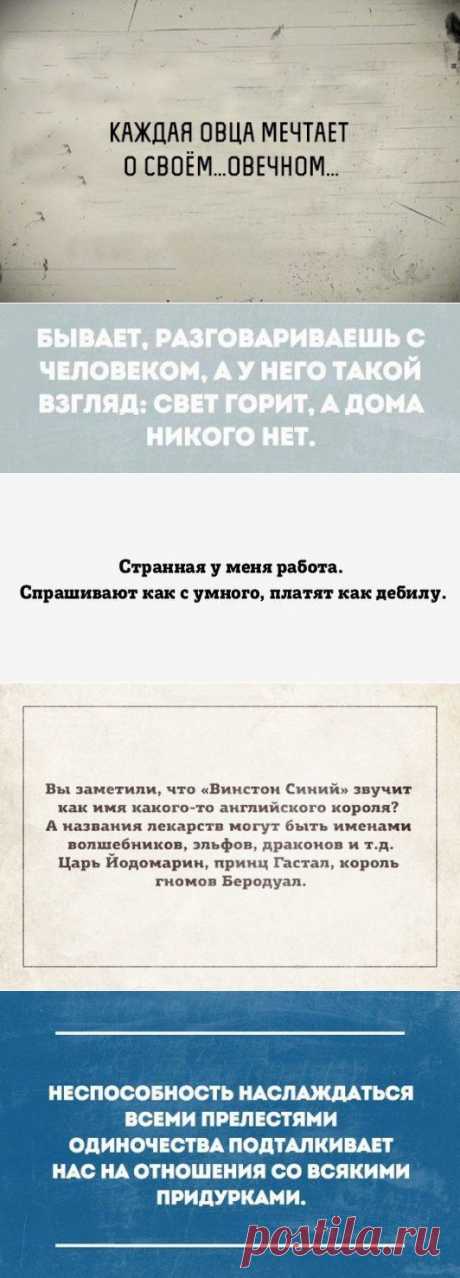 Цитаты дня. Великолепно!