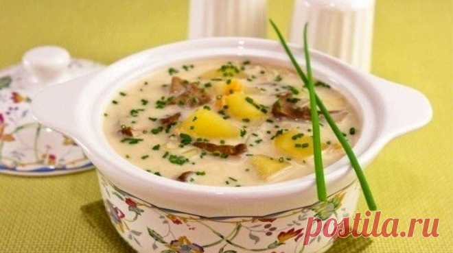 Сырный суп с грибами