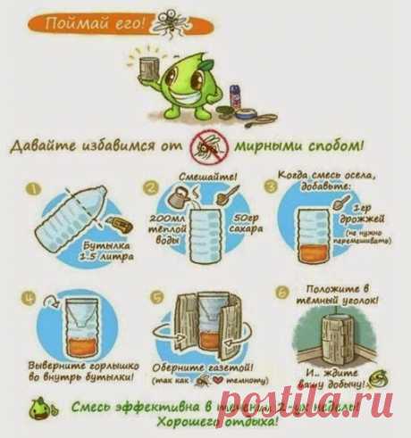 Google+