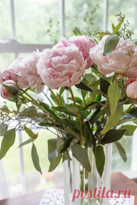 .......................