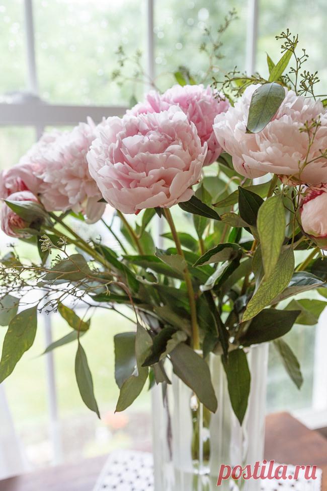 .......................