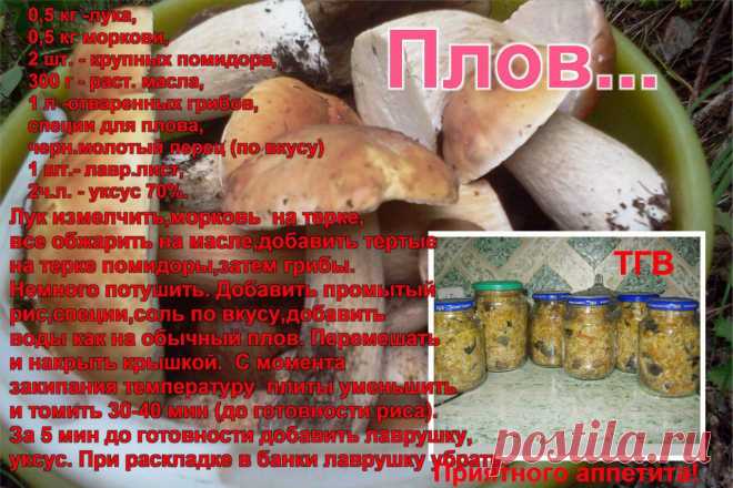 погребок | 37 фотографий