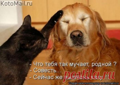 Выплюнь каку