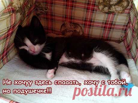 Редактировать описание
