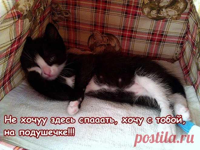 Редактировать описание