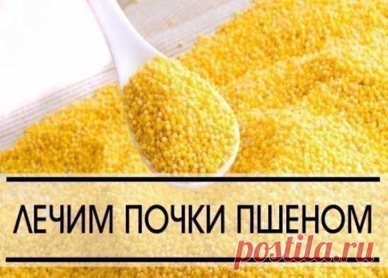О ЧЕМ МОЛЧАТ ВРАЧИ- ЛЕЧЕНИЕ ПОЧЕК БЕЗ ХИМИИ -ПШЕНОМ !!!
