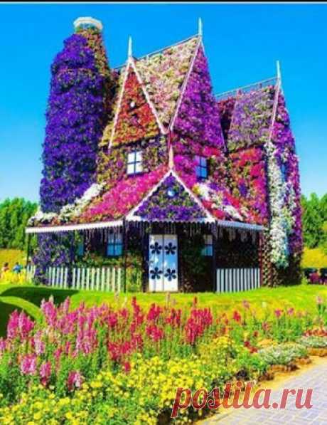 Bunga Padma – Google+