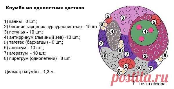 Клумба из однолетников - Садоводка