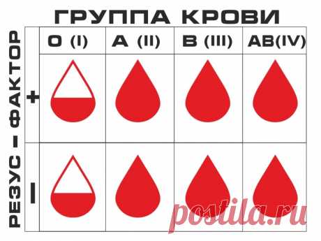 Неожиданные факты о группе крови: она влияет на наше здоровье, настроение, жизнь