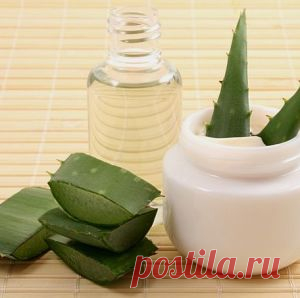 Рецепты алоэ: настойка, капли, крем