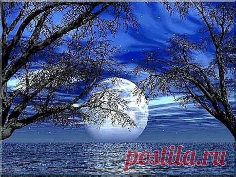 getImage (639×480)