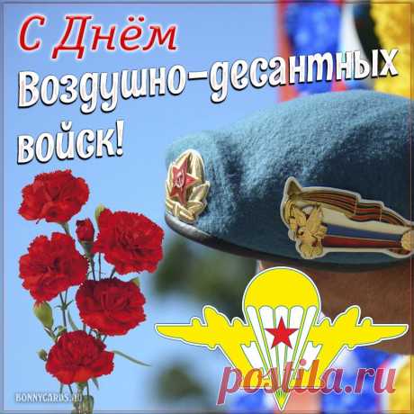 С праздником, десантник бравый
Смелый, доблестный, упрямый.
Оттянись на всю катушку,
Только береги макушку!