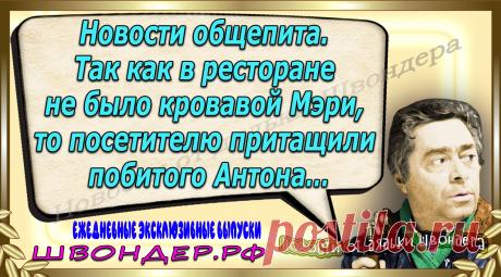 Новости от дядьки Швондера, классный анекдот, смешная фраза, веселая фенечка, каламбур, афоризмы, смех, забавные картинки, сложный юмор, непонятные анекдоты, цитаты из интернета, мэмчик, развлечение, Швондер говорит, Шариков, Собачье сердце, улыбка до ушей, веселый сайт, забава, смешарик, мем, потеха, картинка со смыслом, фарс, наколка, мемасик, шутка, юмор, анекдоты в картинках, юмор в картинках, свежие приколы, Швондер, смешная фишка, улыбка, интересное в сети, смех, швондер.рф, #швондер.рф