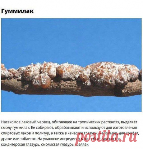 Фото пользователя Виктор, Ашхабад, 59 лет
