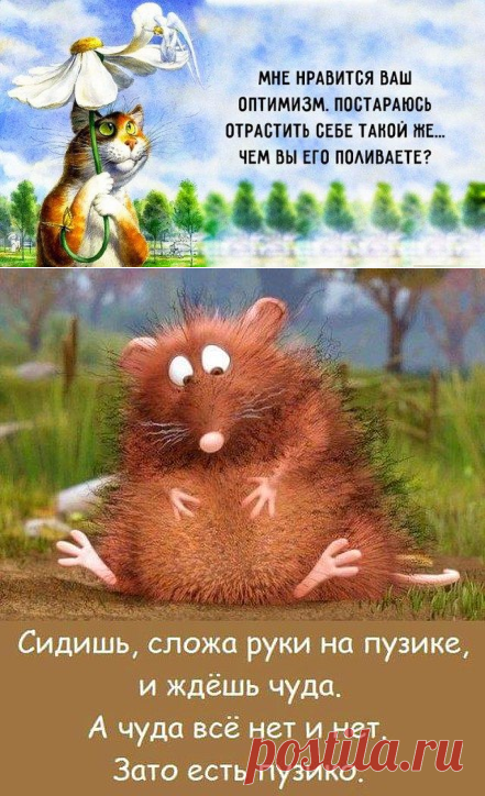 Берегите своё солнце!
