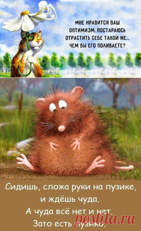 Берегите своё солнце!