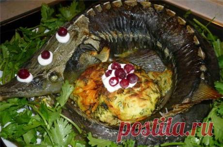 Осетрина, запеченная в духовке. Простые рецепты для новичков | LS