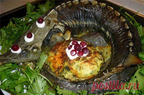 Осетрина, запеченная в духовке. Простые рецепты для новичков | LS