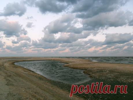 Яндекс.Фотки