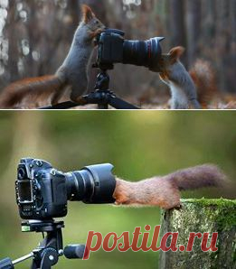 Facebook
«Фотограф, модель». Автор фото: Вадим Трунов.

А как бы вы назвали это фото?