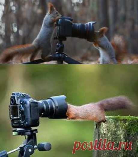 Facebook
«Фотограф, модель». Автор фото: Вадим Трунов.
А как бы вы назвали это фото?