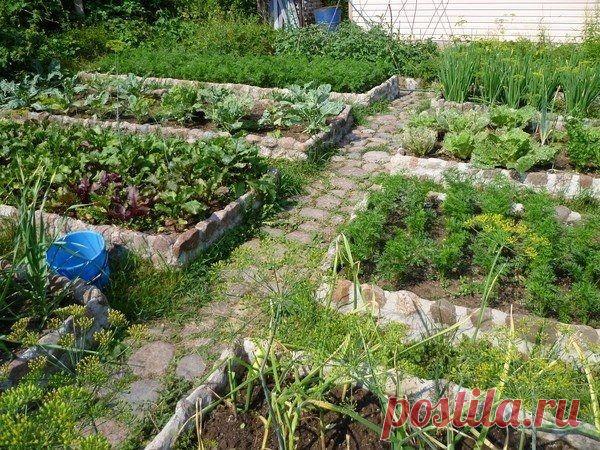 Огород без перекопок - высокие грядки - Садоводка