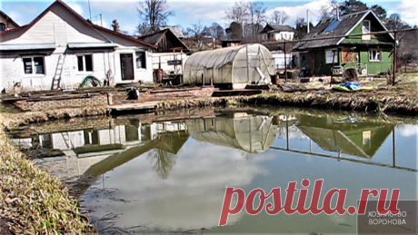 5 ценных советов по содержанию рыбы в своём пруду | Хозяйство Воронова | Яндекс Дзен