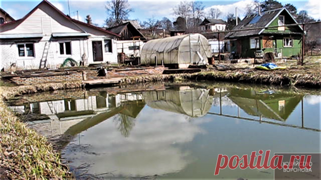 Сколько рыбы запустить в свой пруд ? Зарыбляю карася по возрасту пруда | Хозяйство Воронова | Яндекс Дзен