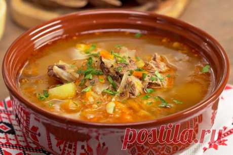 12 простых рецептов щей из свежей капусты для начинающих кулинаров — Гармония в тебе