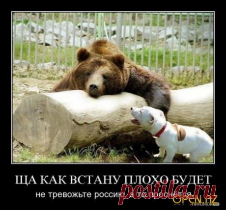 России предлагают ответить за базар | ВПЕРЁД, РОССИЯ! Новостной патриотический сайт