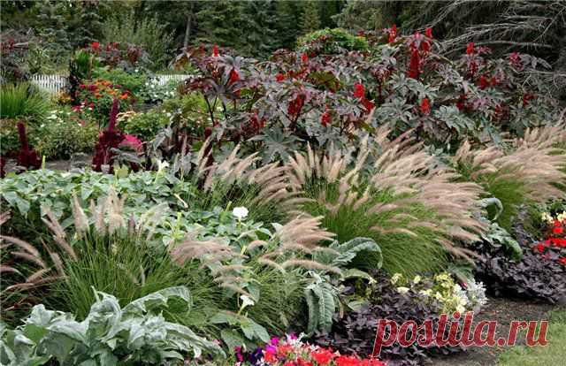 | Идеи для сада.Садовые композиции | Фотогалерея | Ландшафтный дизайн и декоративное садоводство.Декоративные растения и кустарники.Энциклопедия ландшафтного дизайна.Готовые проекты дизайна сада.