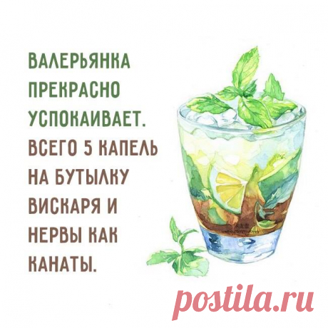 валерьянка