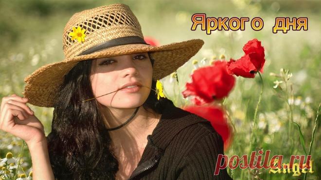 Плейкаст «Пусть ярким будет каждый день ...»