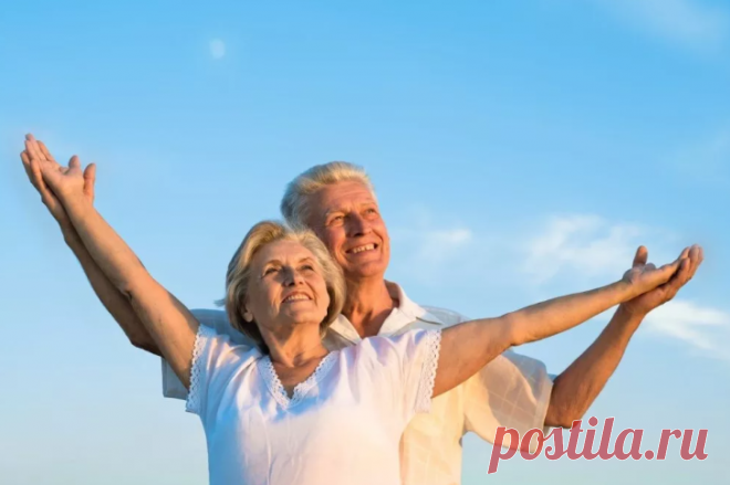 Пожилым стоит прислушаться. Какие продукты разжижают кровь в организме | Блог Аллы Сафроновой | Яндекс Дзен