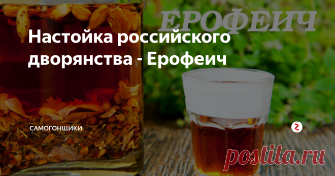 Настойка российского дворянства - Ерофеич Ерофеич – травяная настойка российского дворянства, появилась в начале XVIII века. Из-за высокой концентрации эфирных масел имела специфический горький вкус и употреблялась в небольших количествах (максимум 2 рюмки) перед едой для повышения аппетита. Закусывали ерофеич жирными мясными и рыбными блюдами. Отличительная особенность – настойка готовилась на основе зернового самогона 3-5 перегонок креп