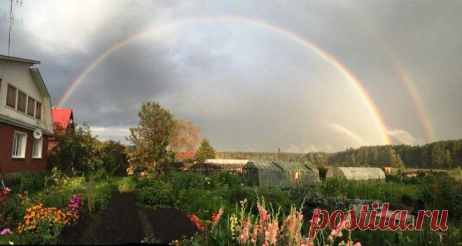 Двойная радость...!