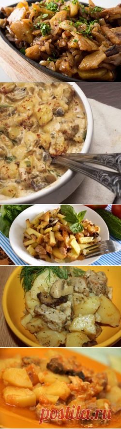 Вкусные рецепты