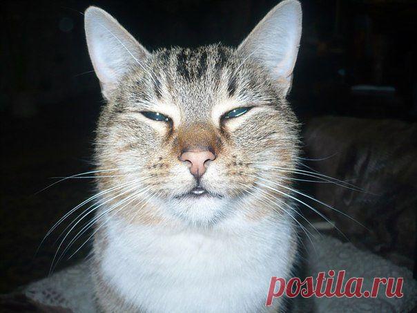 Фото на паспорт