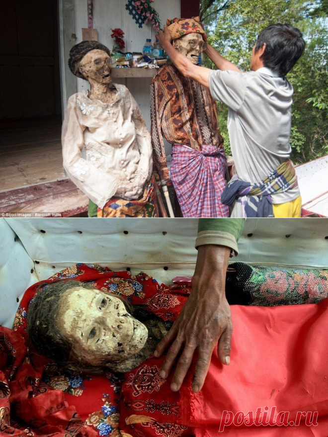 Фестиваль Манене — жутчайший обряд народа Индонезии | LivePosts — последние новости, полезные статьи, обзоры