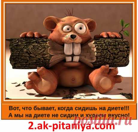 Не мучайте себя диетами и голодовками! Еда должна быть вкусной и полезной! https://2.ak-pitaniya.com/