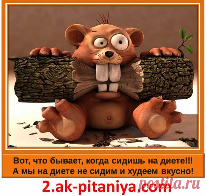 Не мучайте себя диетами и голодовками! Еда должна быть вкусной и полезной! http://2.ak-pitaniya.com/