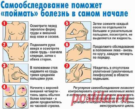 цитата Моя_кулинарная_книга : Самобследование груди для выявления признаков рака (19:57 19-11-2015) [3226371/377199254] - nadezda_55@mail.ru - Почта Mail.Ru