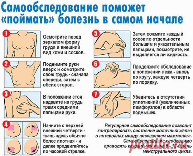 цитата Моя_кулинарная_книга : Самобследование груди для выявления признаков рака (19:57 19-11-2015) [3226371/377199254] - nadezda_55@mail.ru - Почта Mail.Ru